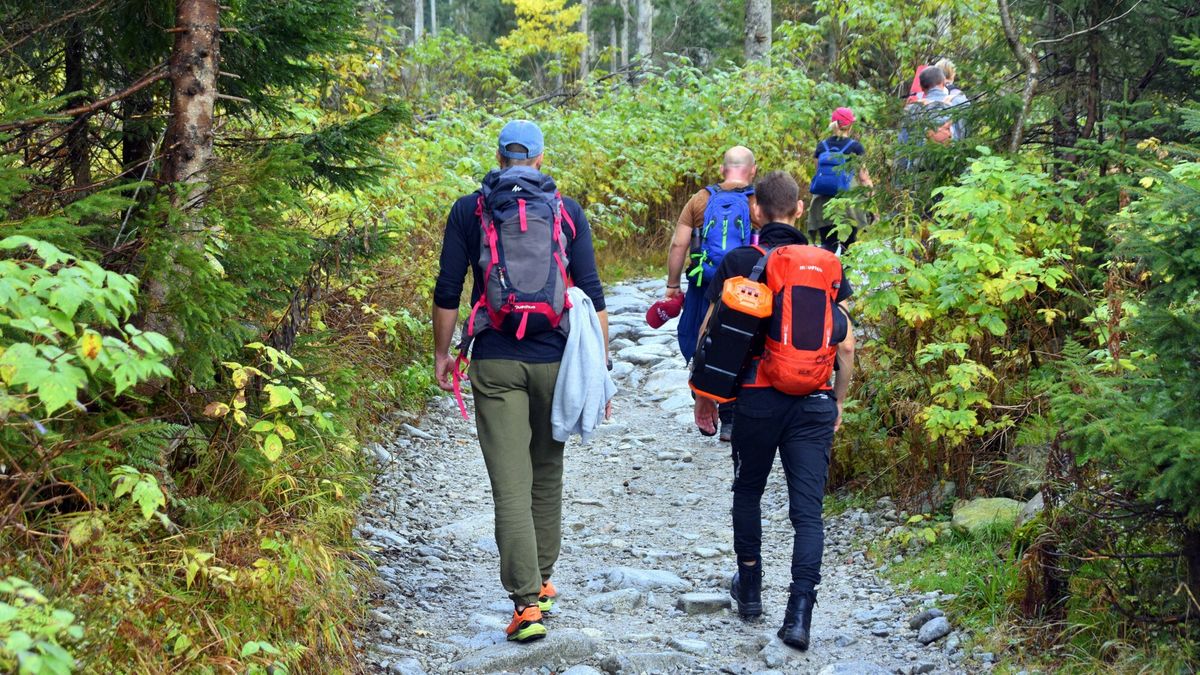 Pa?dziernikowy weekend w Tatrach
PHOTO: ALBIN MARCINIAK / EAST NEWS 13.10.2023 
Dolina Roztoki, Tatry Wysokie, Tatrzanski Park Narodowy
n/z turysci na szlaku
Albin Marciniak