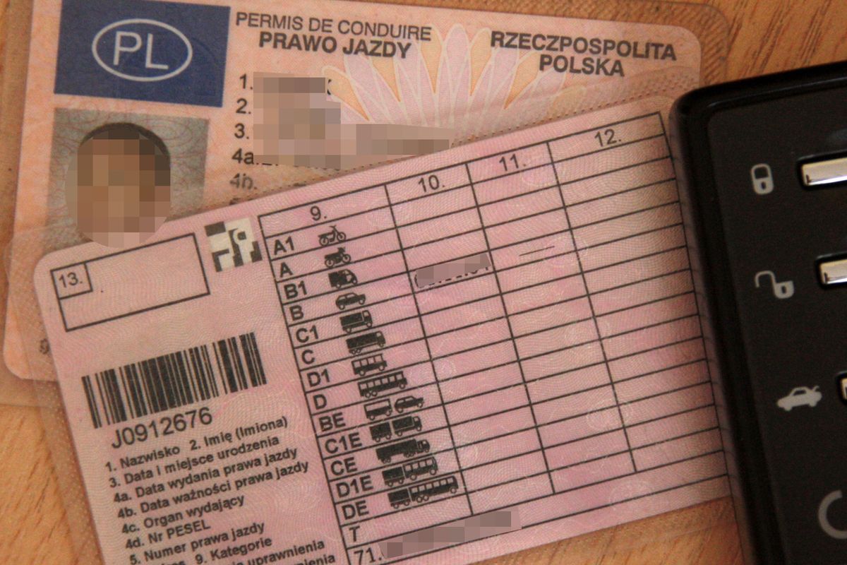 У Польщі існує безліч факторів, за яких можна втратити водійські права