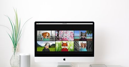 Dołączasz do spotkania na Zoomie, a tam krowa, pies, królik i lis. Co robisz?