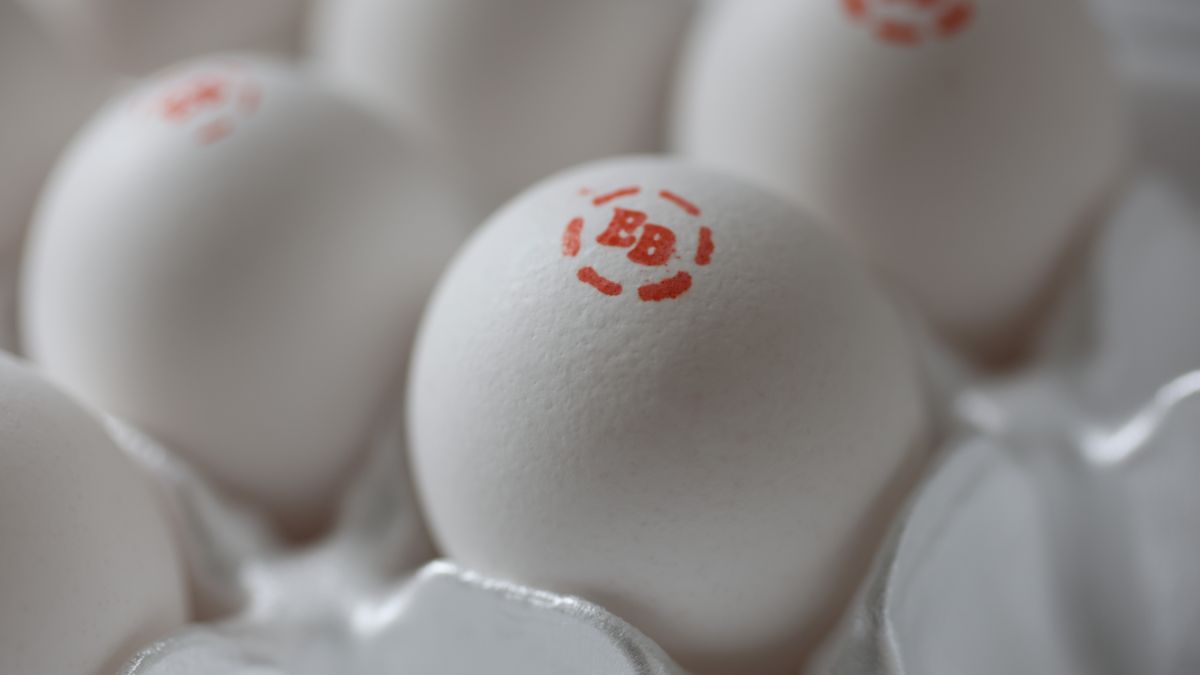 MIAMI, FLORIDA - JANUARY 23: In this photo illustration, eggs sit in a container as the country endures an egg shortage on January 23, 2025 in Miami, Florida. Grocery stores across the nation are running short on eggs, and the situation may not improve for months. The avian influenza has killed as many as 17.2 million egg-laying hens, causing an egg shortage.  (Photo Illustration by Joe Raedle/Getty Images)