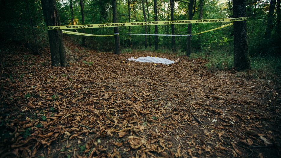 Taśmy policyjne w lesie/ zdjęcie ilustracyjne
