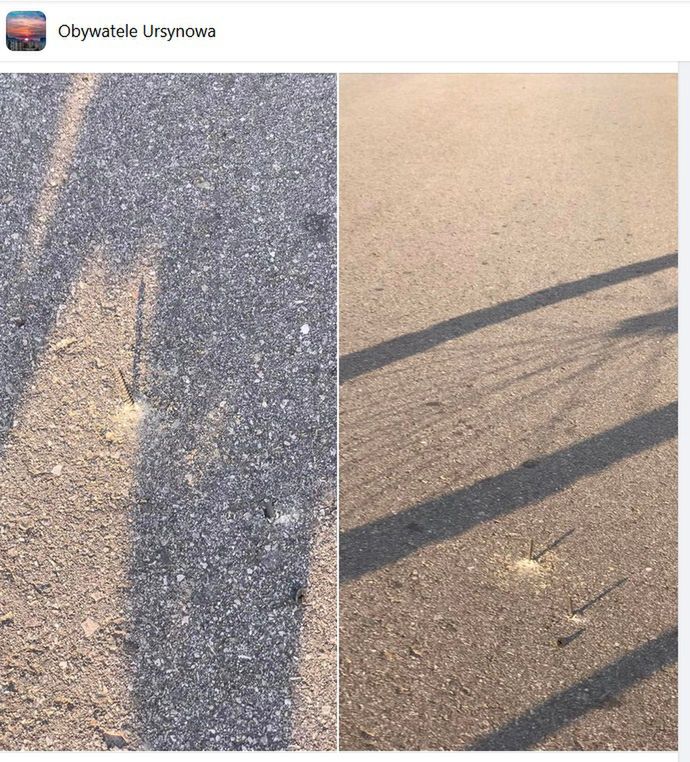 Gwoździe w ścieżce.