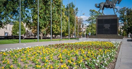 Jesienne nasadzenia roślin w Lublinie. Zobacz, gdzie się zazieleni. Miasto ozdobi 4,5 tys. sadzonek kwiatów [ZDJĘCIA]