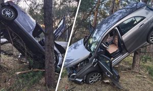 Niemiec jechał po polskiej drodze. Skończył na drzewie