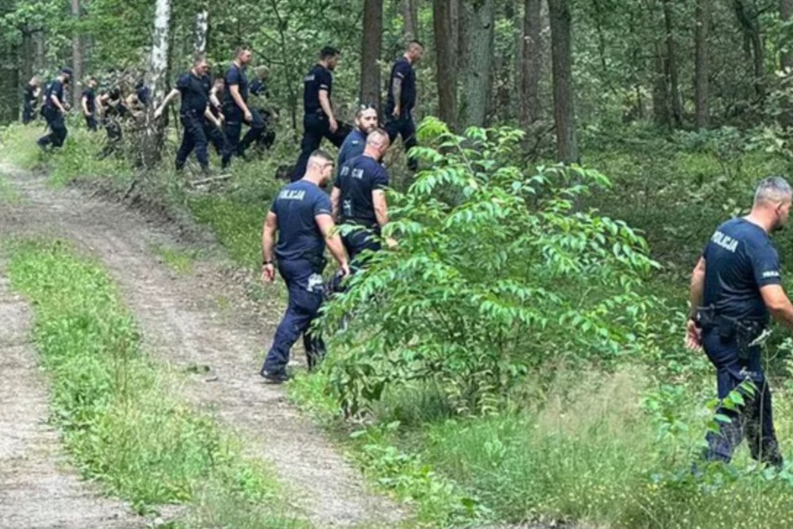 Po kolei weszli do lasu. Seria zniknięć seniorów