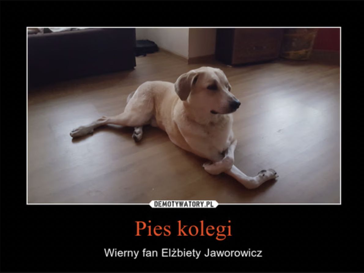 Memy o Elżbiecie Jaworowicz