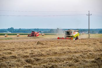 Jak przebiegają żniwa w Wielkopolsce? Jakie plony i ceny?