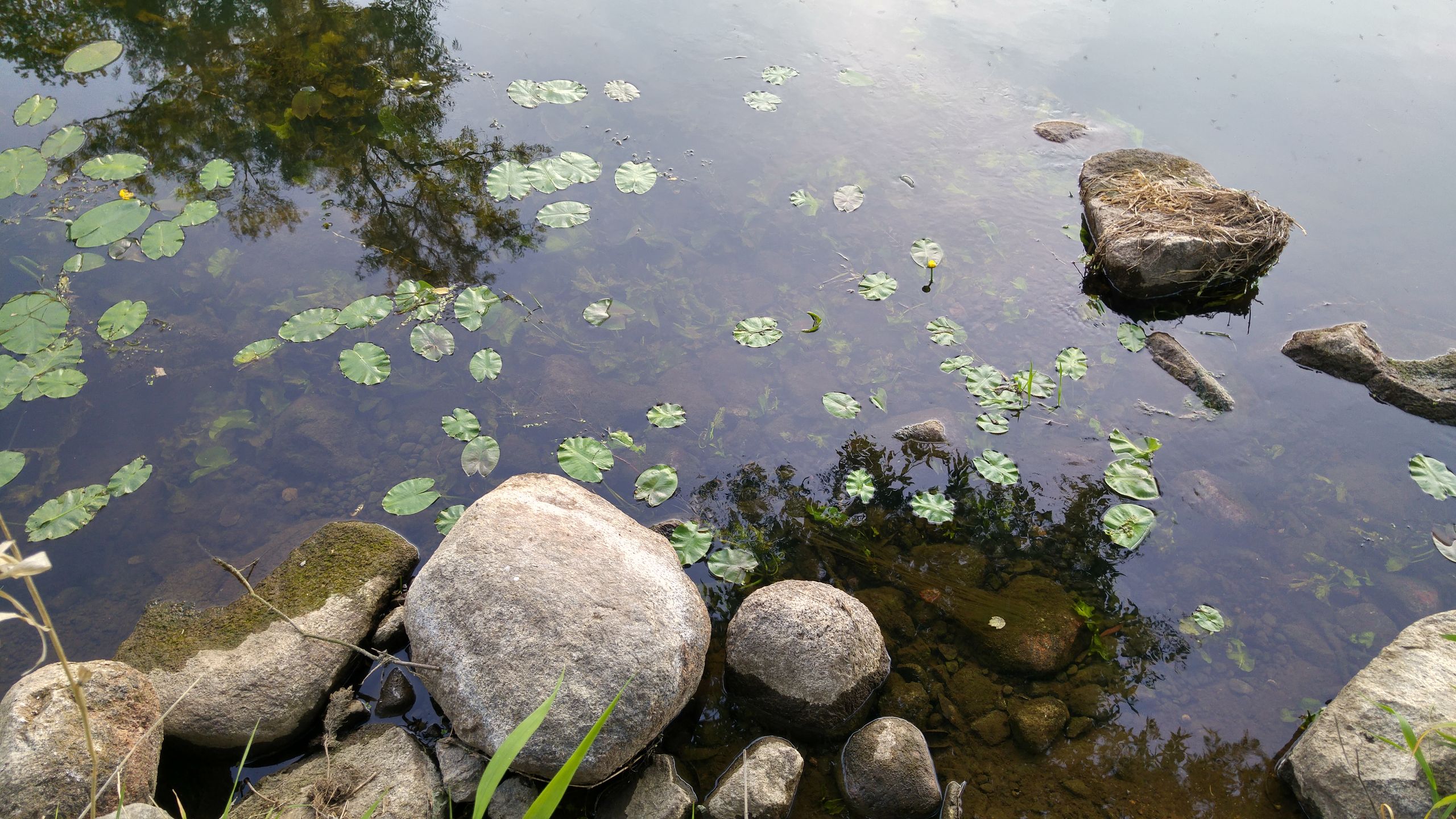 LG G4 - poważny gracz w świecie fotograficznych smartfonów [test] 34