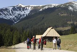 Tatry. Turysta chciał zrobić selfie z niedźwiedziem. Został ugryziony