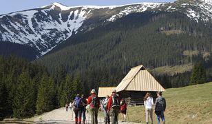 Tatry. Turysta chciał zrobić selfie z niedźwiedziem. Został ugryziony