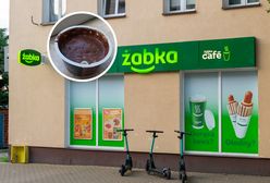 Znalazł pleśń w deserze. Żabka się tłumaczy i oferuje zwrot kosztów