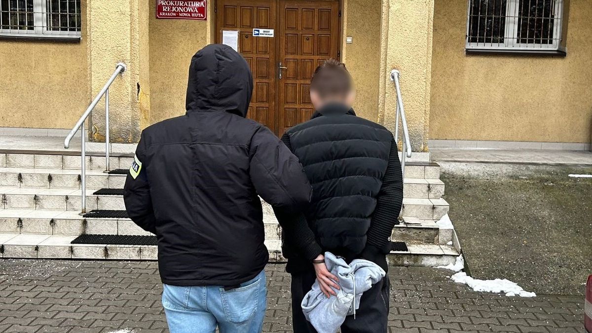 Policjanci zatrzymali sprawców