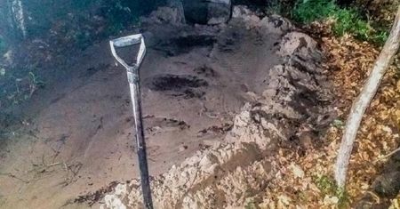 Złodziej bursztynu z Pomorza. Zdjęcie zrobiono na Mierzei Wiślanej