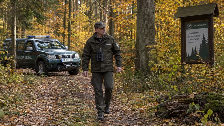 Akcja "Jesień 26" w lasach RDLP w Pile. Więcej patroli Straży Leśnej