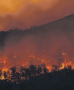 "Sorry, nie taki mamy klimat". Apel ponad 100 naukowców na rzecz ochrony klimatu