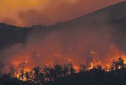 "Sorry, nie taki mamy klimat". Apel ponad 100 naukowców na rzecz ochrony klimatu