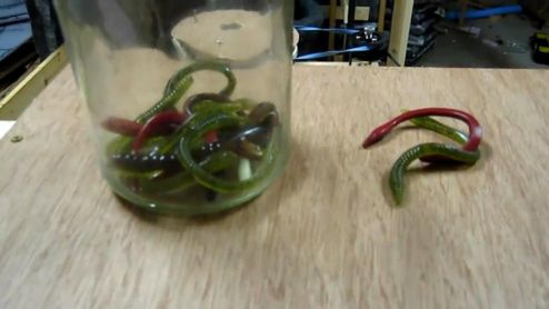 Sztuczne robaki z magnesami zachowują się wojowniczo 1