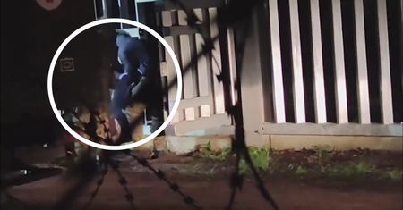 Bezwładna kobieta przenoszona za płot. Pokazali nagranie