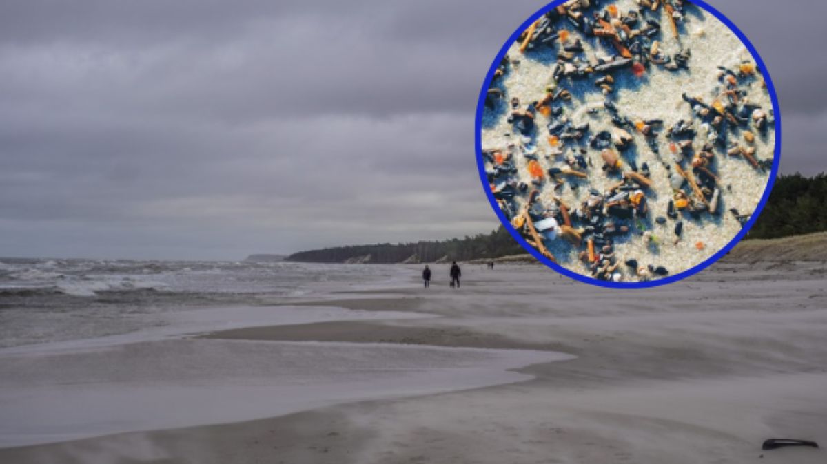 Pojawiają się na plażach. Teraz najłatwiej się na nie natknąć.