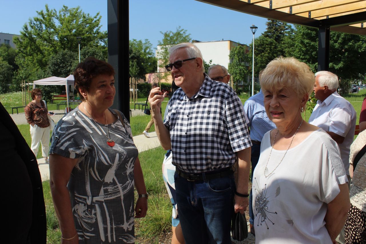 Obraz