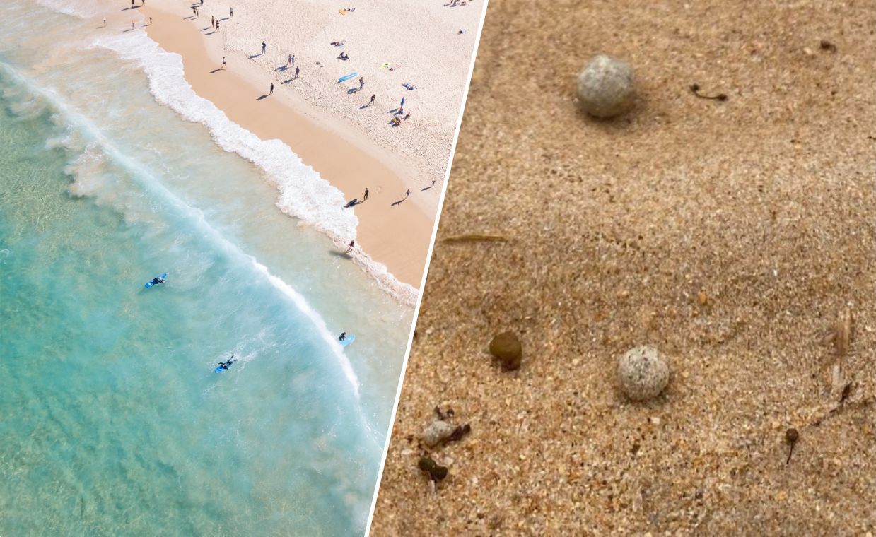Sydney beaches closed as mystery balls appear from the sea