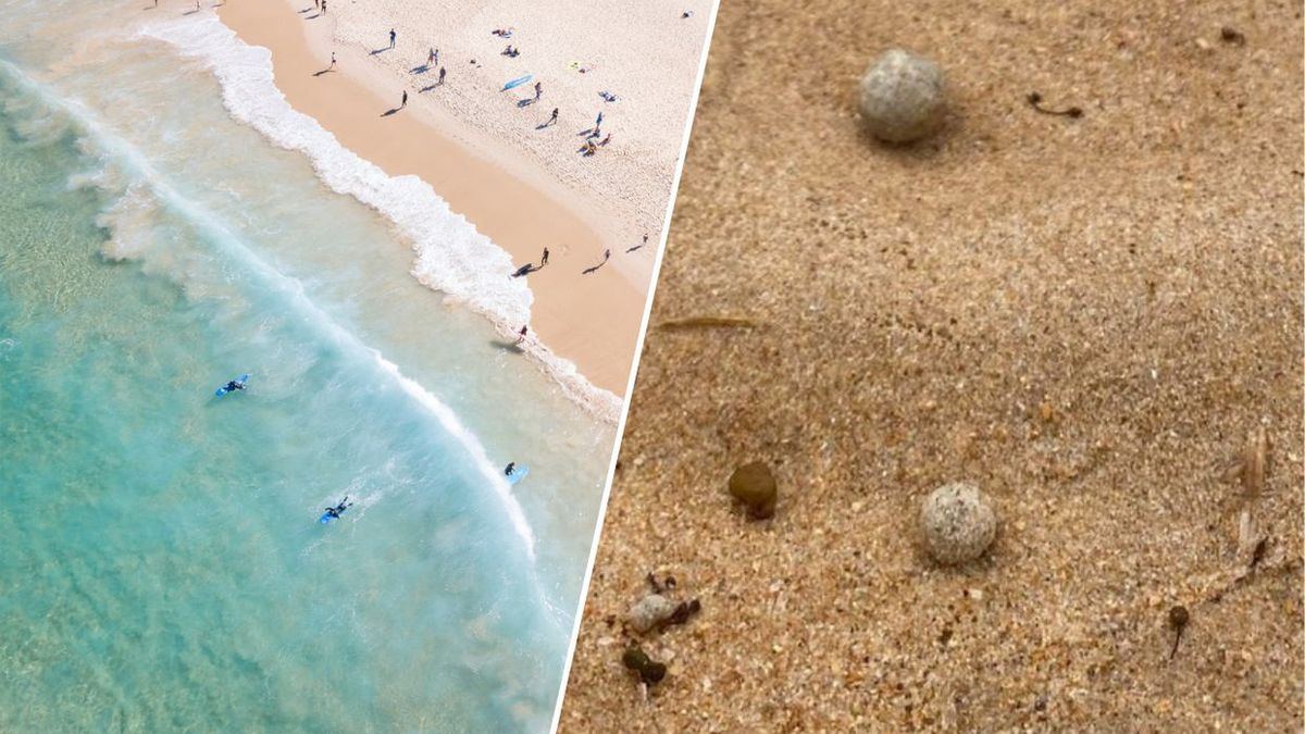 Tajemnicze kulki na plaży