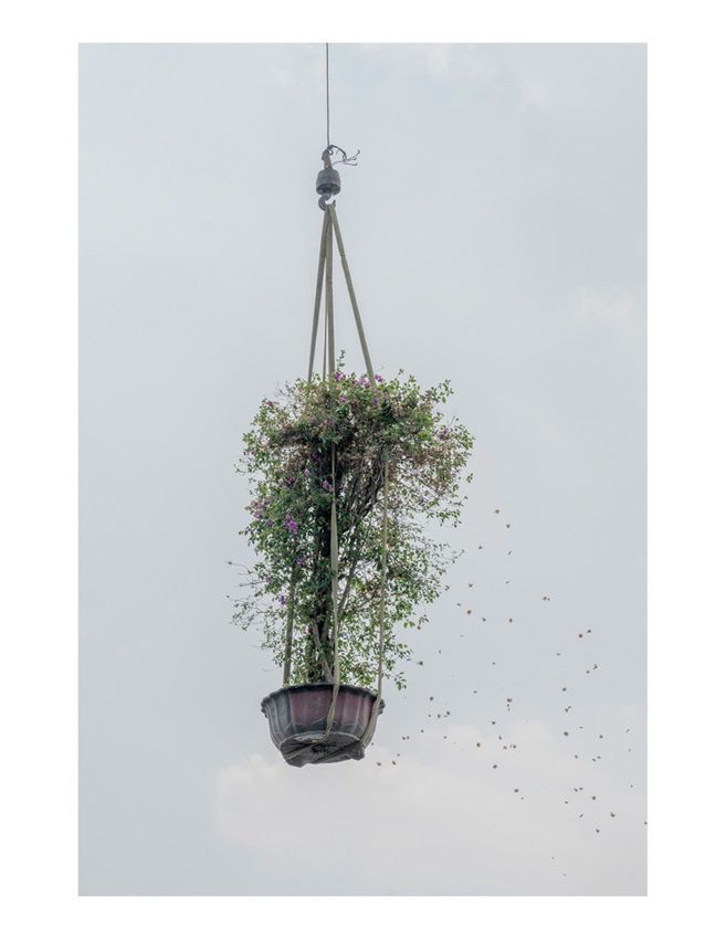 "The Sky Garden"