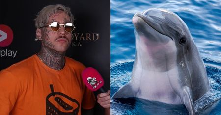 Stifler z "Warsaw Shore" chwali się, kim był w poprzednich wcieleniach: "Najpierw DELFINEM, potem CESARZEM..." (WIDEO)