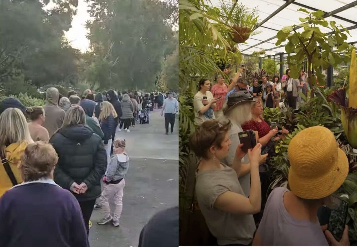 Kolejki ustawiają się od świtu