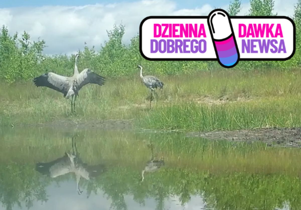 Natura znów zaskoczyła. Taki widok latem to rzadkość