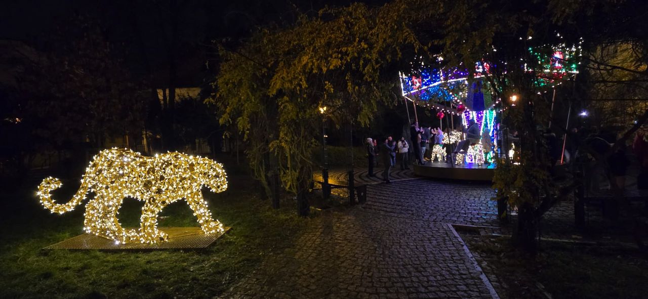 Płockie Ogrody Światła