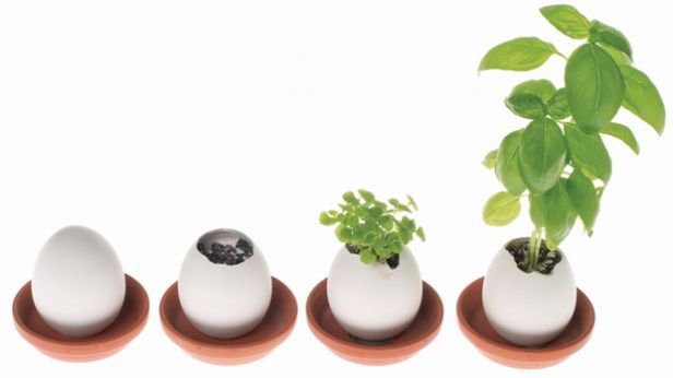 10 gadżeciarskich prezentów na Dzień Matki 1