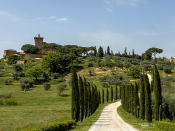 Ukryty gigant pod Toskanią. "Nie zdawaliśmy sobie sprawy"