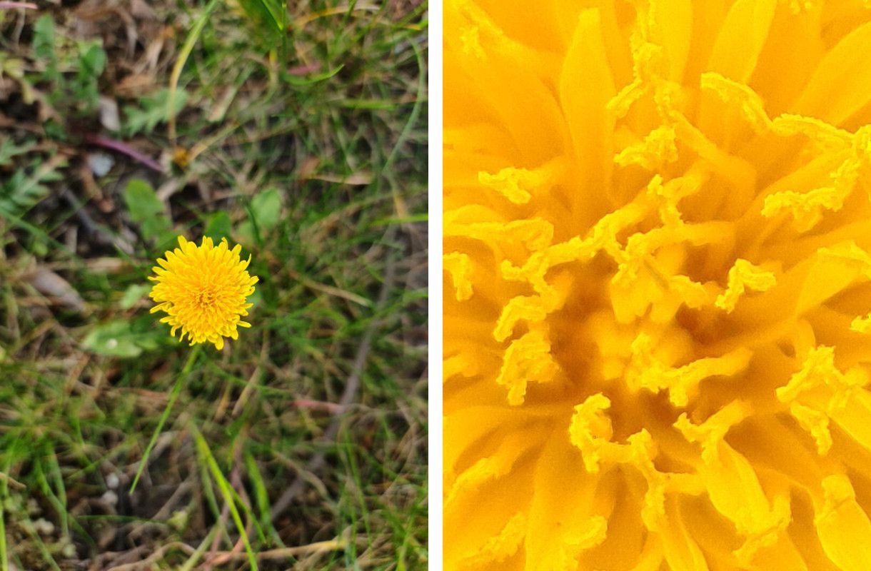 A jednak. Samsung Galaxy S20 Ultra to wciąż mój ulubiony smartfon fotograficzny 20