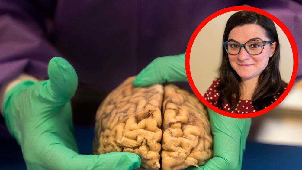 Zbadali mózgi 70-latków