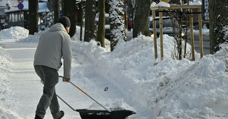 Forsy jak lodu. Tyle można zarobić na odśnieżaniu