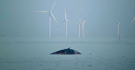 Dryfował u wybrzeży Niemiec. Służby ostrzegają: grozi eksplozją