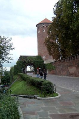 Obraz