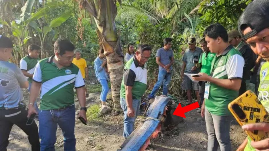 "Zwiastun kataklizmu" znaleziony w Filipinach