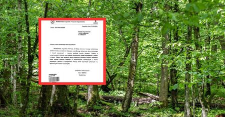 Lasy Państwowe kontra lasy prywatne. Oficjalne pismo ujrzało światło dzienne