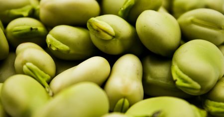 Sięgaj, gdy tylko zobaczysz w warzywniaku. Działa jak naturalny antydepresant i pomaga schudnąć