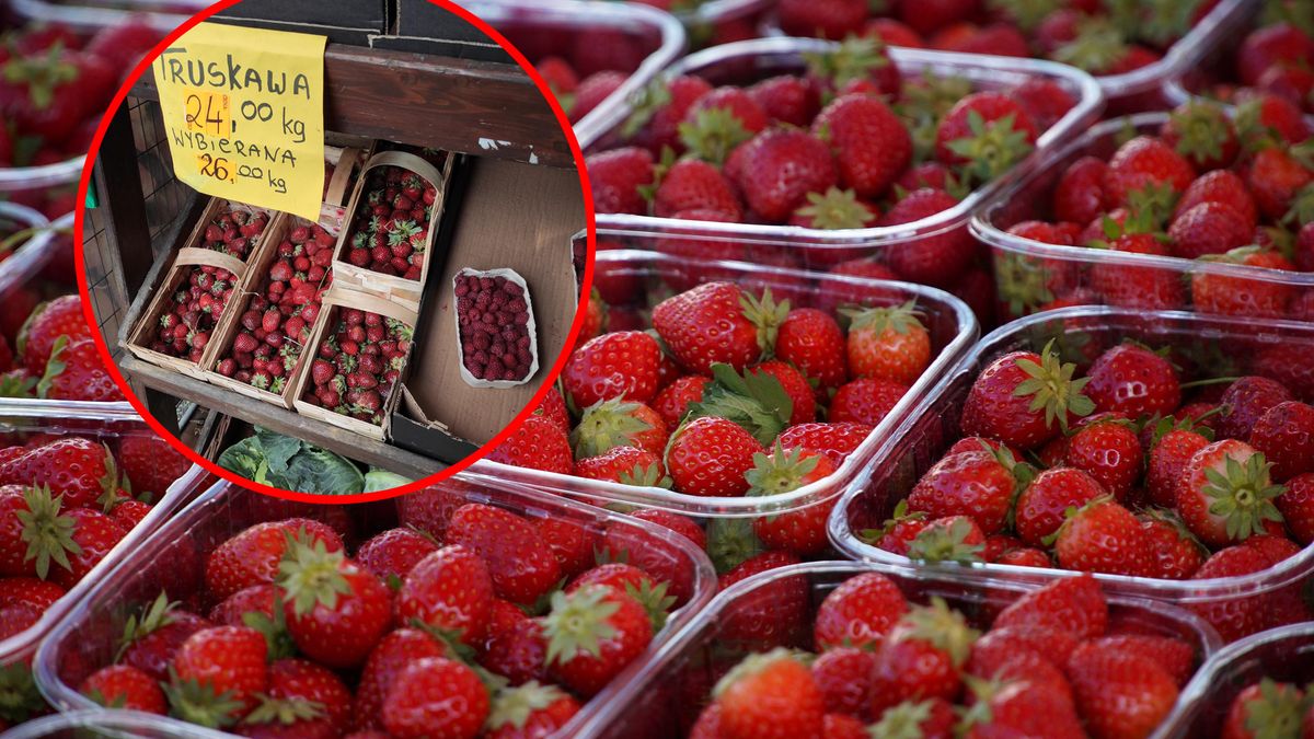 Truskawki są w tym roku niezwykle drogie.
