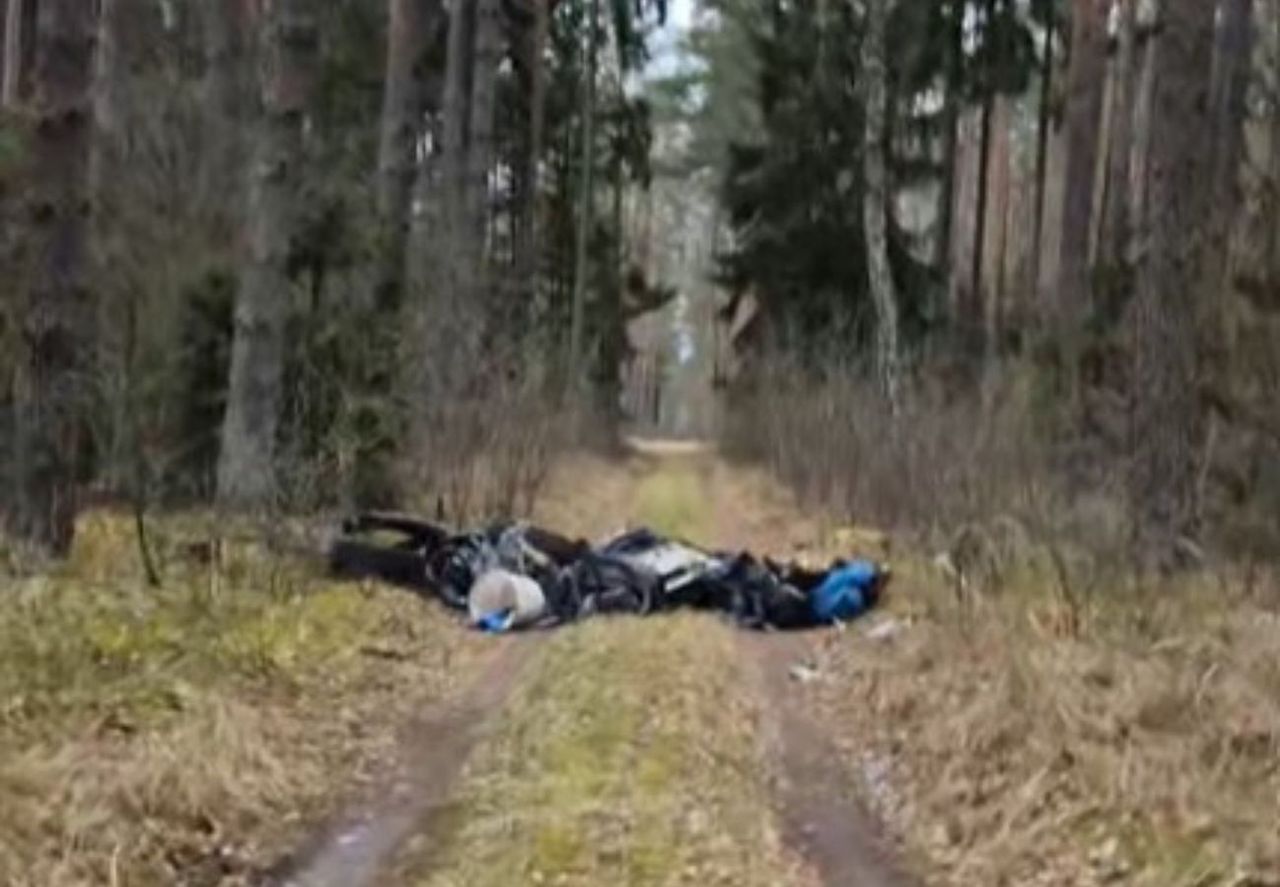 Leżały w głębi puszczy. Leśnicy aż się zagotowali. "To jest dramat"
