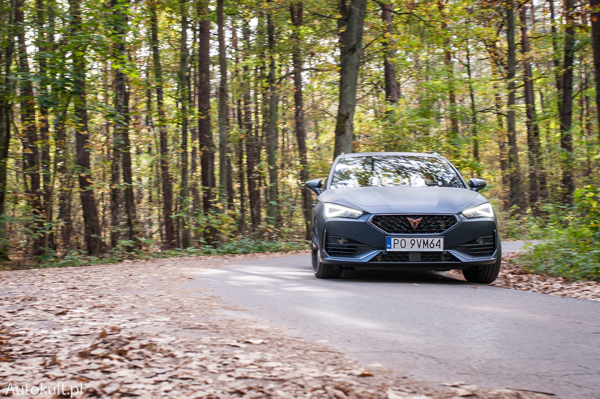 Cupra Leon ST 310 4Drive (2022)