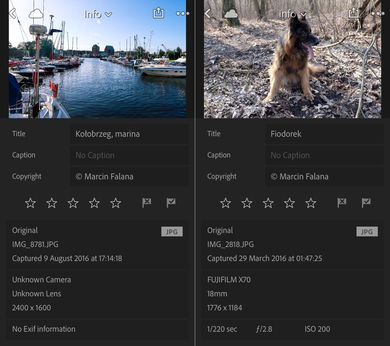 Adobe Lightroom CC 2015.8 wnosi nową funkcję Reference View oraz wiele innych 6