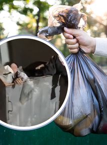 Rosjanie wskakują do śmietników? "Zginie zgnieciony przez śmieciarkę"