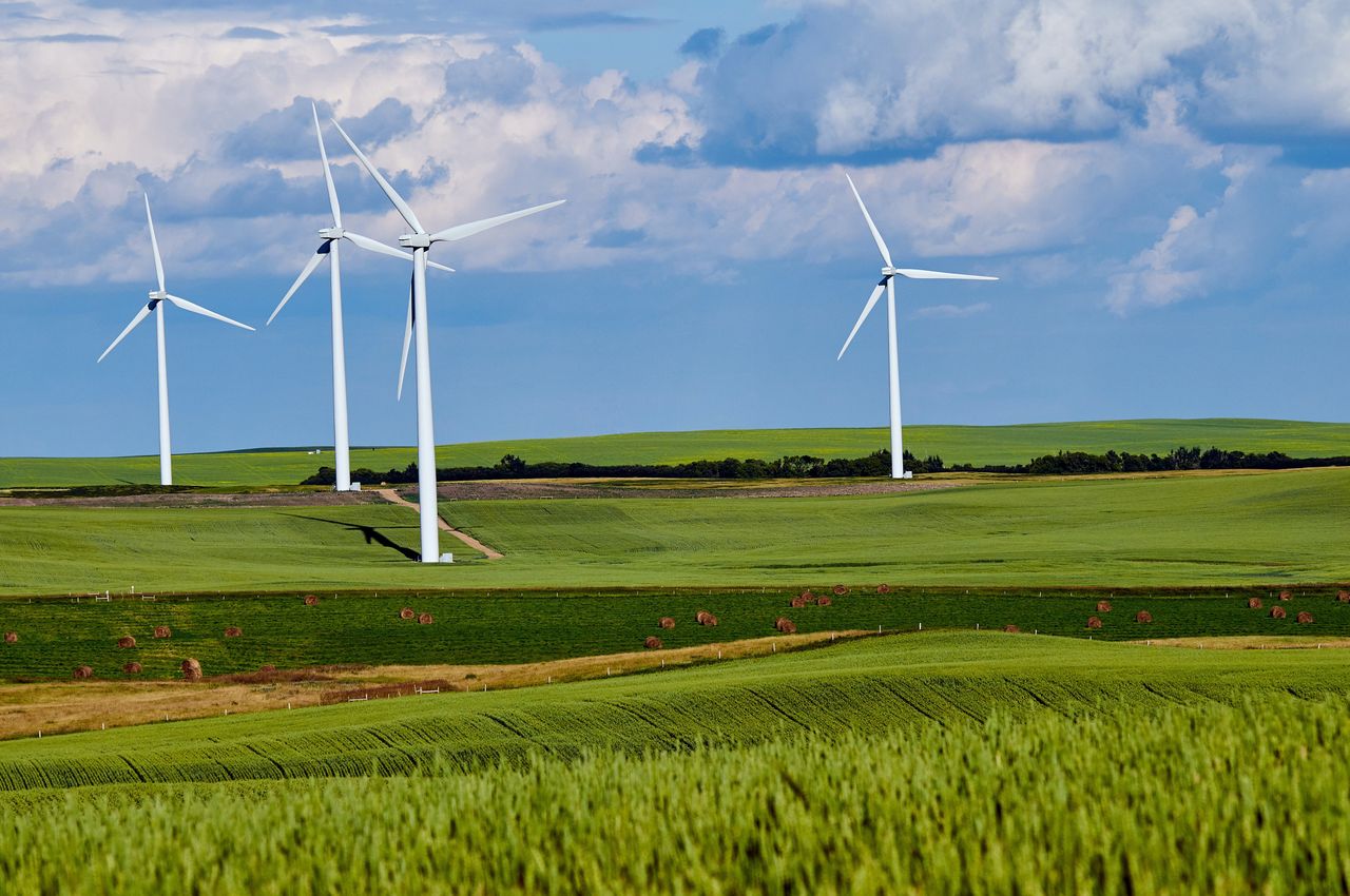 Farma wiatrowa za 500 milionów. Nowa inwestycja na Pomorzu