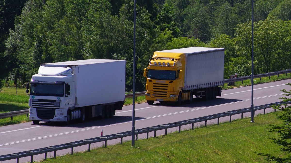 W kabinie kierowcy ciężarówki wykryto leki dla zwierząt