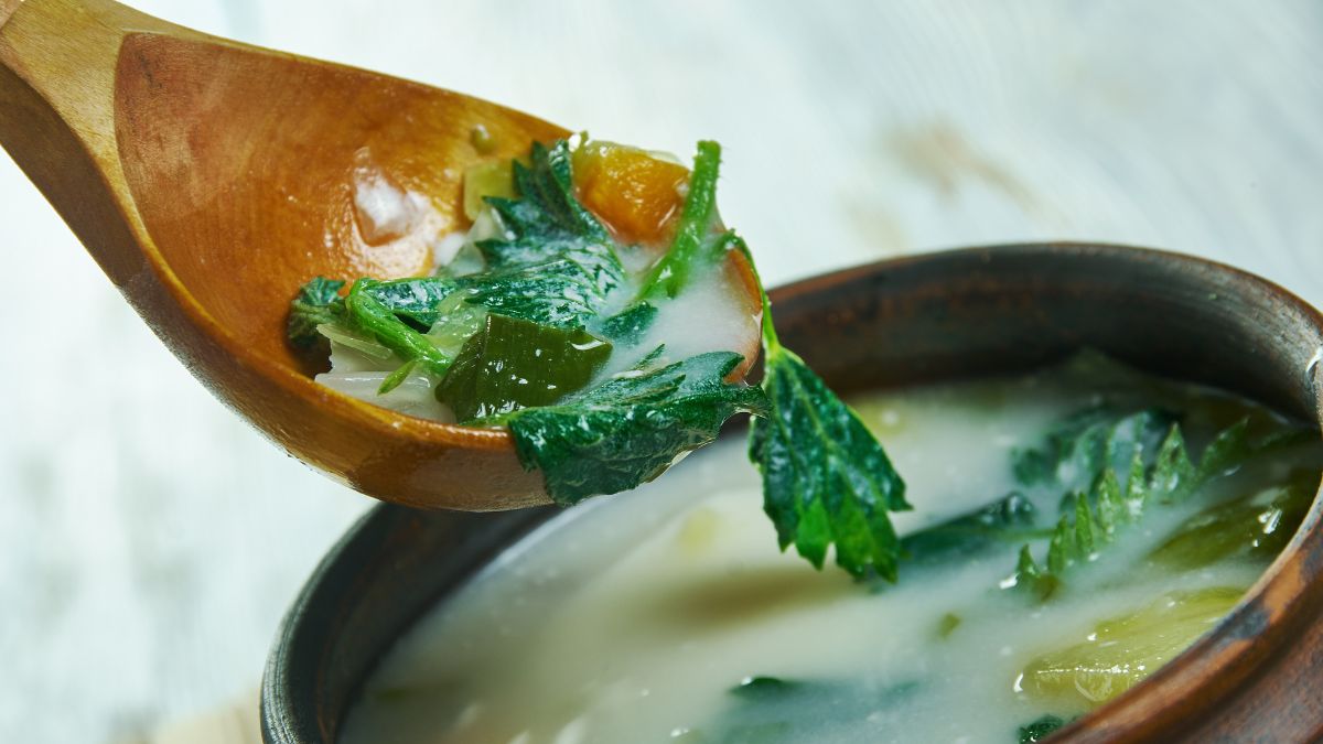 Zupa z pokrzywy - Pyszności