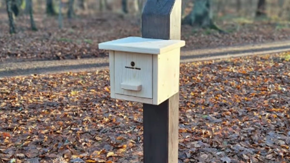 W trójmiejskich lasach pojawiły się drewniane skrzynki